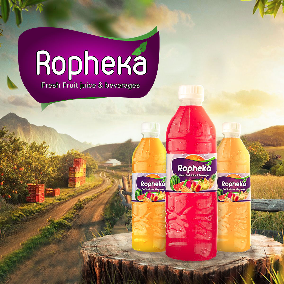 Juice Ropheka Flyer